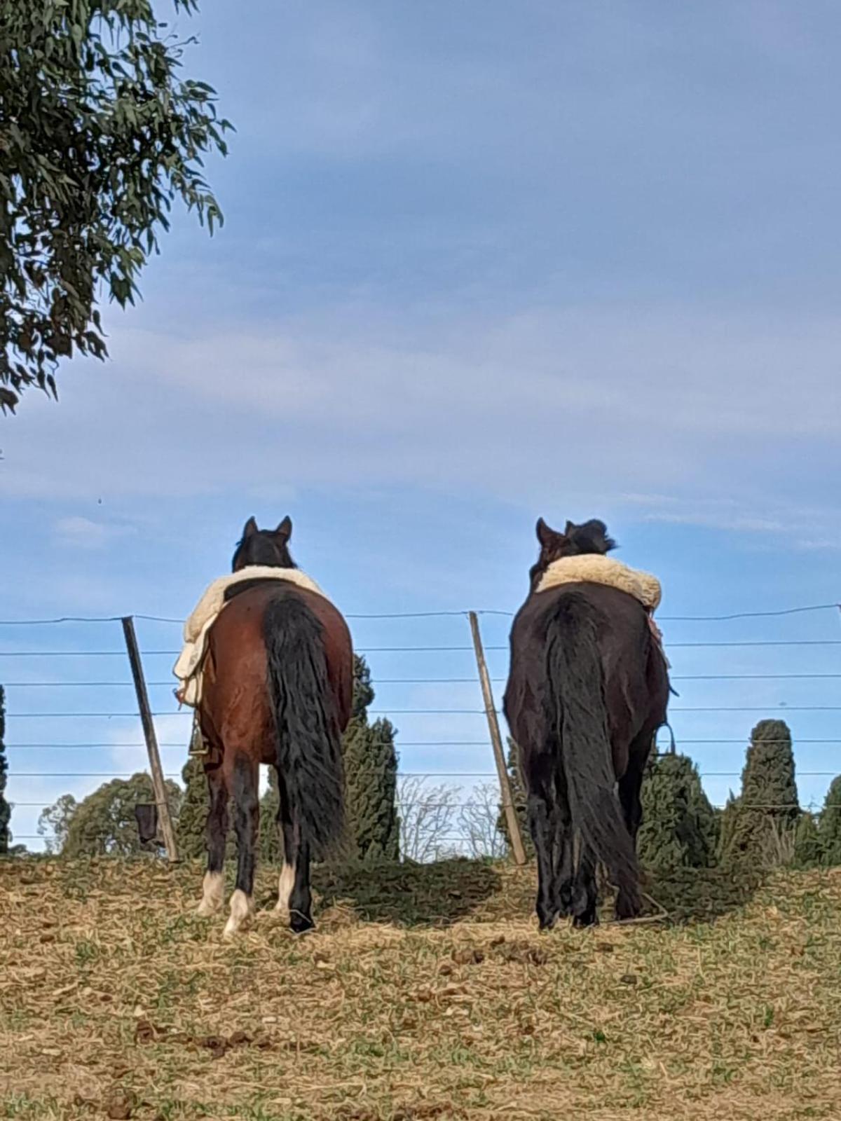 Chacras De Azcona Hosteria Azul Exteriör bild